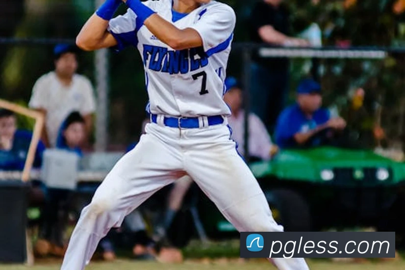 pg模拟器平台生态图